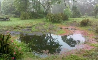 Imagen de vista previa de la cámara web Galápagos Islands